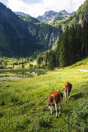 Steirischer Bodensee