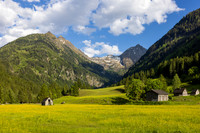 THEMENBILD, Frühling in den Bergen, Alm
