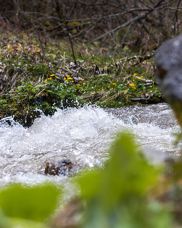 THEMENBILD, Frühling in den Bergen
