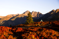Planai, Herbst, Wanderin auf Aussichtsbank