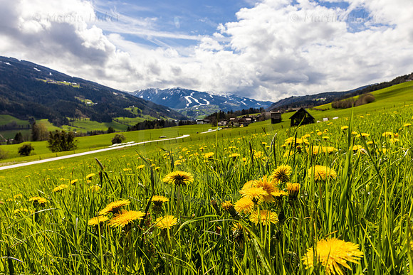 THEMENBILD, Frühling in den Bergen