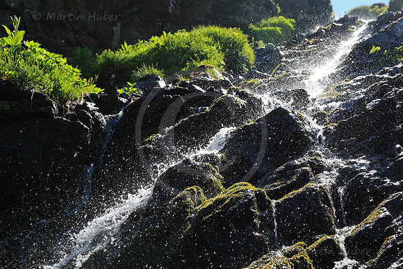 TauernWasser