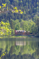 Seewiese am Altausseer See