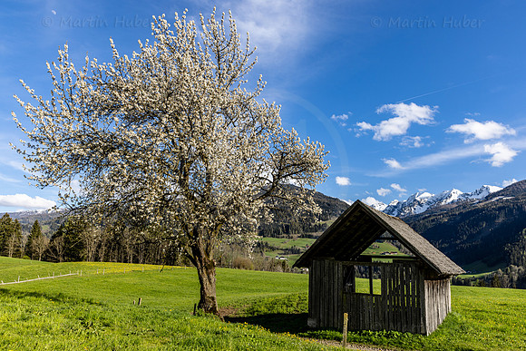 THEMENBILD, Frühling in den Bergen