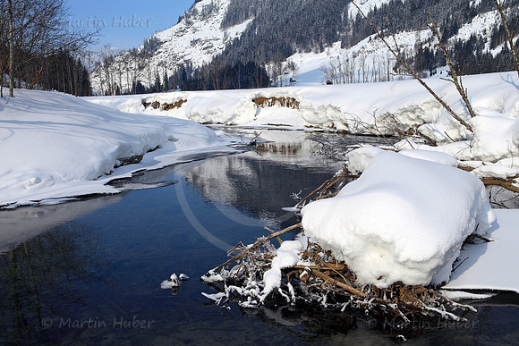 Winterlandschaft im Tettermoor