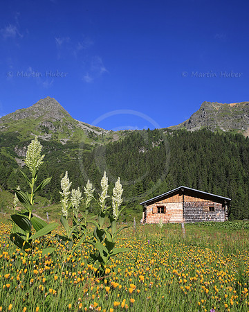 Die Neualm im Obertal