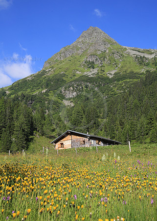 Die Neualm im Obertal