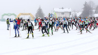 AUT, 37. Internationaler Steiralauf, Bad Mitterndorf