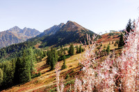 Planai, Blick zum Krahbergzinken