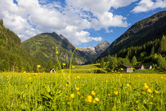 THEMENBILD, Frühling in den Bergen, Alm