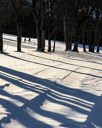 THEMENBILD, Winter in Österreich, Langlaufen
