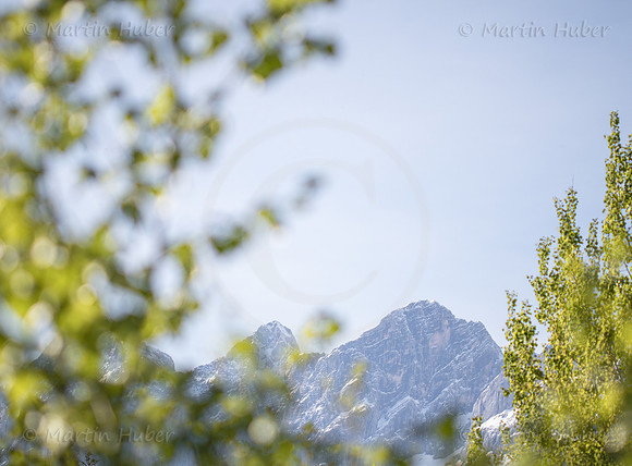 Dachstein-Frühlingsblick