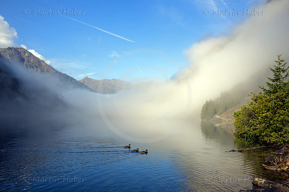 Nebel-Mystik am Riesachsee