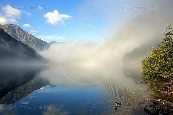 Nebel-Mystik am Riesachsee