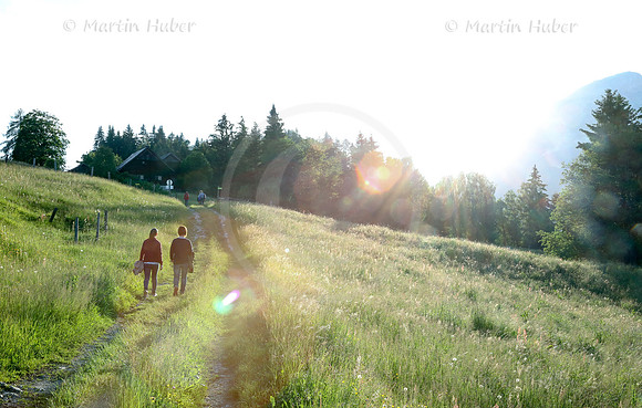 Wanderweg bei Gröbming