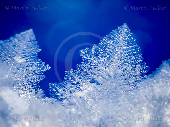 THEMENBILD, Eis, Wetter, Winterlandschaft