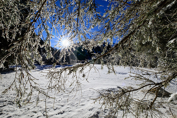 THEMENBILD, Eis, Wetter, Winterlandschaft