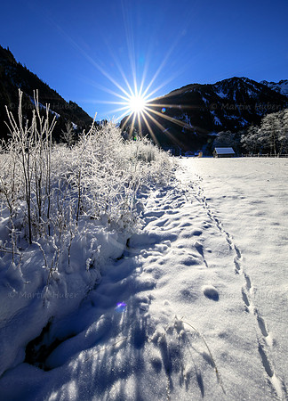 THEMENBILD, Eis, Wetter, Winterlandschaft