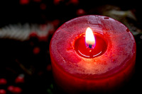 THEMENBILD, Weihnachten, erster Advent, Adventkranz