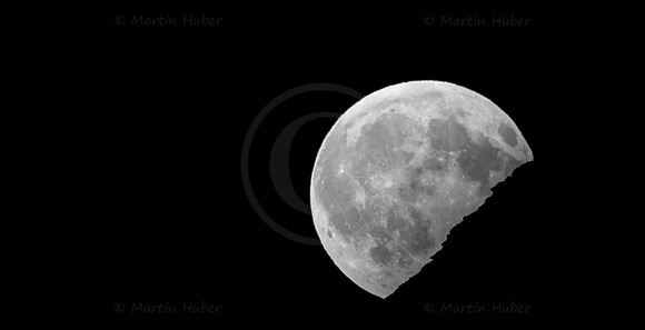 Vollmond hinter Zwiesling