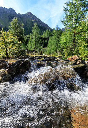 THEMENBILD, Wasser, Gebirgsbach