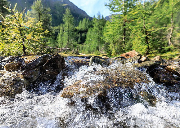 THEMENBILD, Wasser, Gebirgsbach