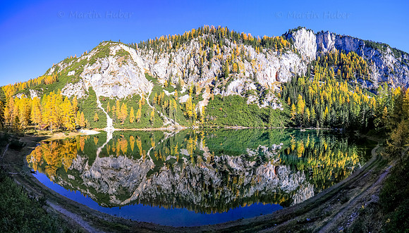 Goldene Lärchen am Ahornsee