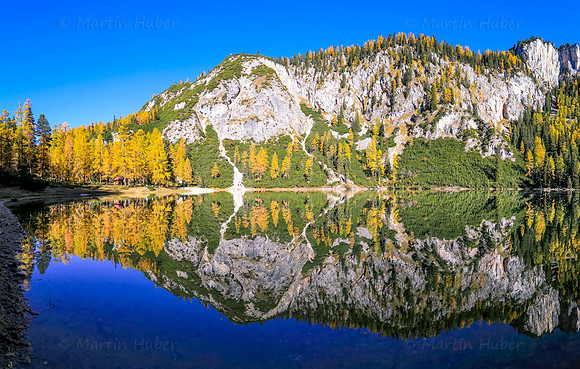 Goldene Lärchen am Ahornsee