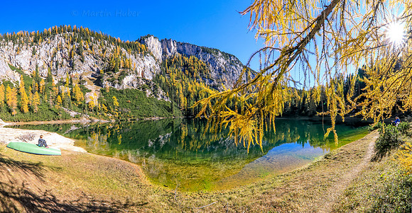 Goldene Lärchen am Ahornsee