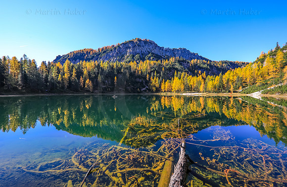Goldene Lärchen am Ahornsee
