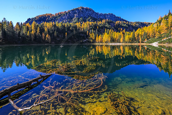 Goldene Lärchen am Ahornsee