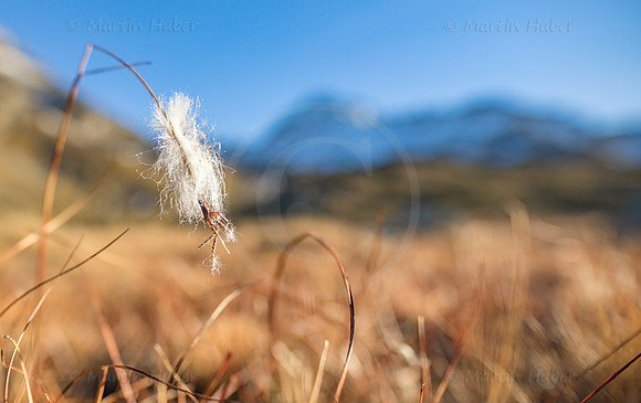 THEMENBILD, Wandern im Spätherbst
