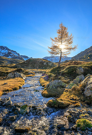 THEMENBILD, Wandern im Spätherbst
