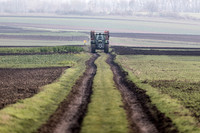 THEMENBILD, Landwirtschaft, Traktor auf Feld