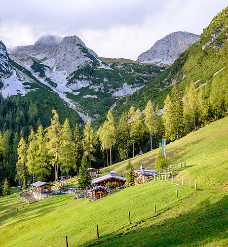 Ramsau am Dachstein, Lärchbodenalm
