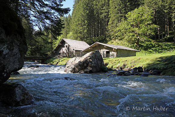 Alm am Forstaubach
