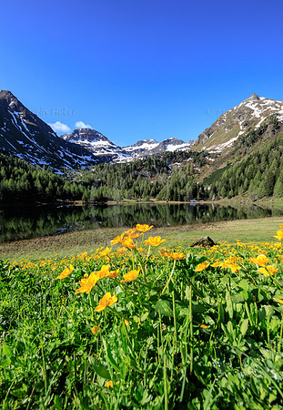 THEMENBILD, Frühling in den Bergen