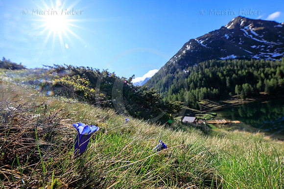 THEMENBILD, Frühling in den Bergen