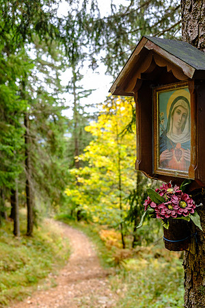 Herbst-Wanderung zum Gindlhorn