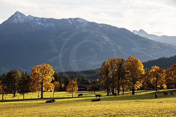 THEMENBILD, Herbst in Österreich