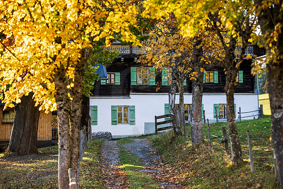 THEMENBILD, Herbst in Österreich