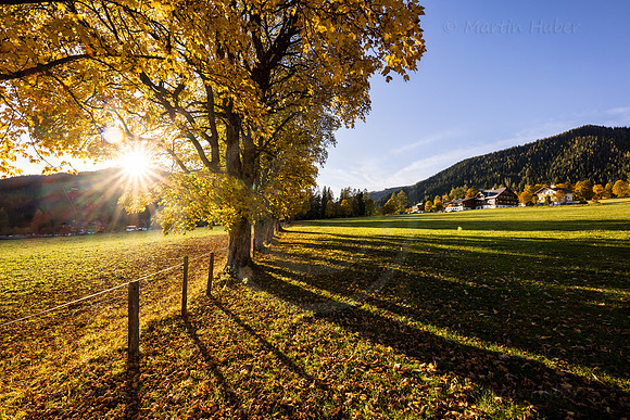 THEMENBILD, Herbst in Österreich
