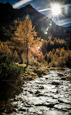 THEMENBILD, Goldener Herbst