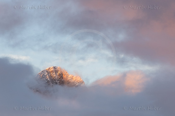 THEMENBILD, Herbst in Österreich, Nebel