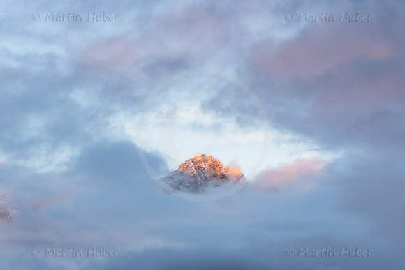 THEMENBILD, Herbst in Österreich, Nebel