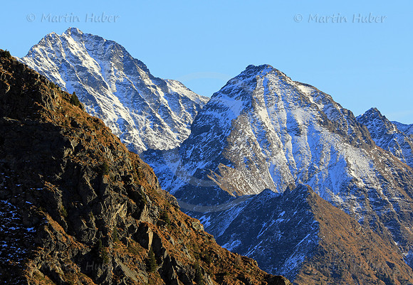 Waldhorn und Placken