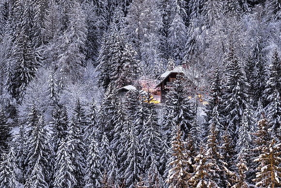 Die Steirische Stubn im Obertaler Wald