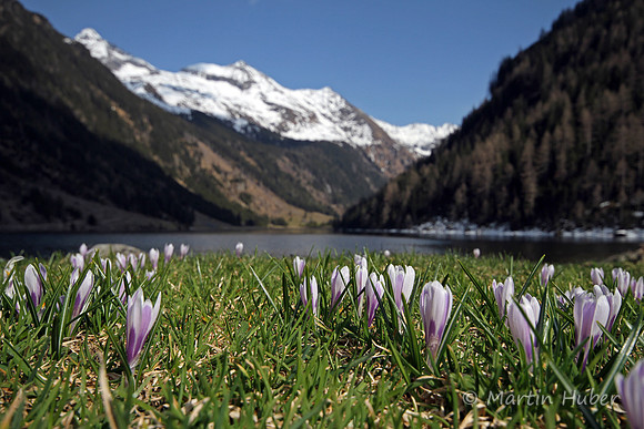 Frühling am Riesachsee