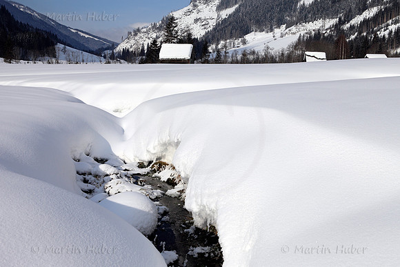 Winterlandschaft im Tettermoor