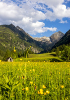 THEMENBILD, Frühling in den Bergen, Alm